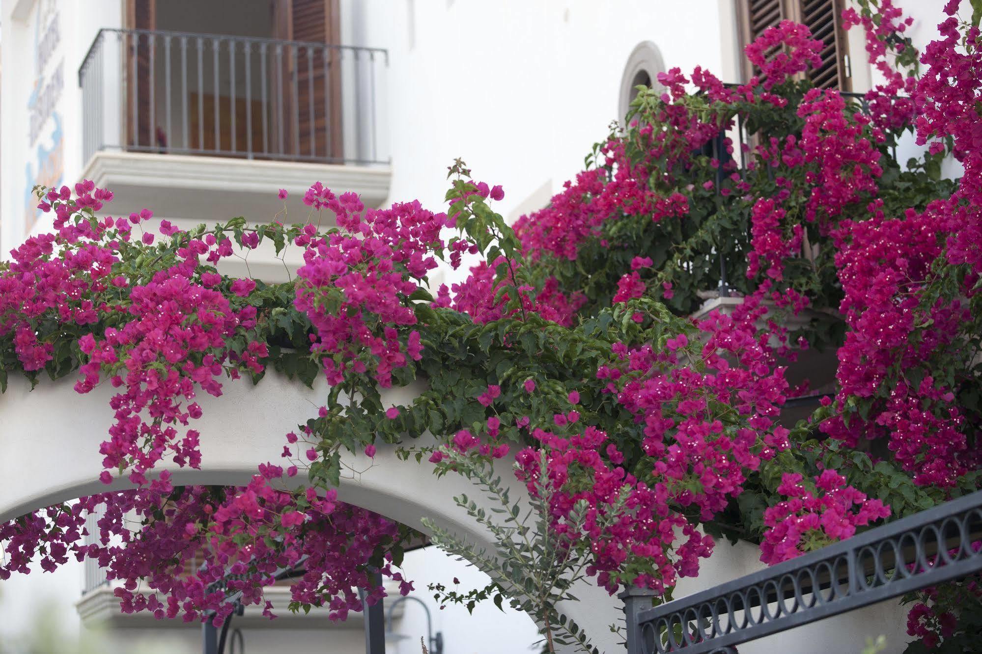 Hotel Residence Acquacalda ليباري المظهر الخارجي الصورة